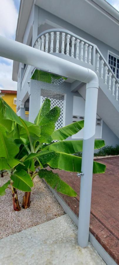 Villa Ravens'S Paradise Azul Willemstad Buitenkant foto
